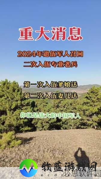 2024年退伍军人召回：2024年退伍军人召回：新机遇与挑战的全面解析