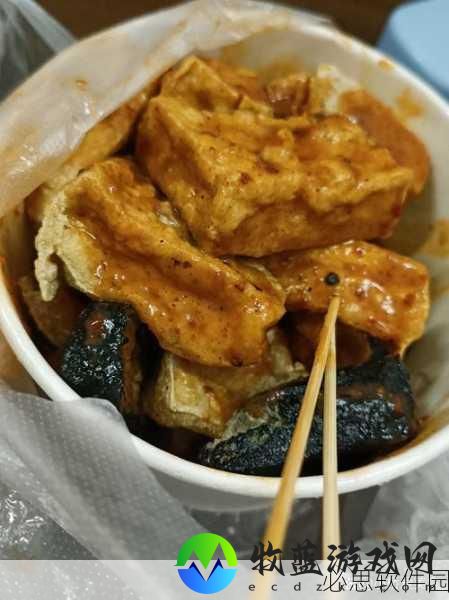 公与淑婷厨房猛烈进：公与淑婷厨房的美食探险：味蕾上的奇妙之旅