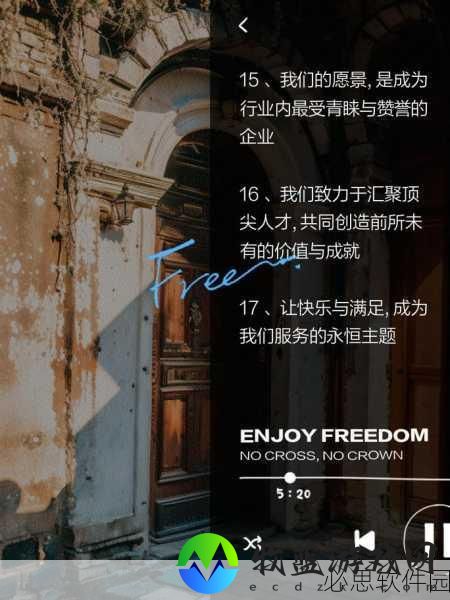 37大但人company：创新引领未来：37大但人公司的成功之道与发展愿景