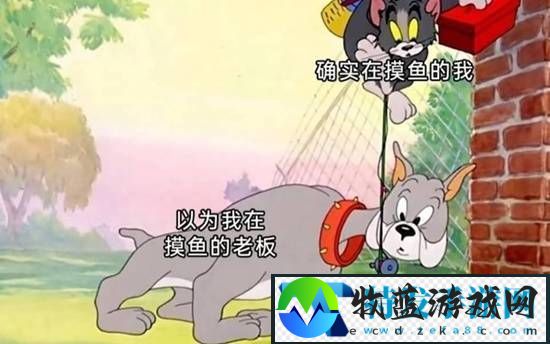 和脸一起出镜的博主