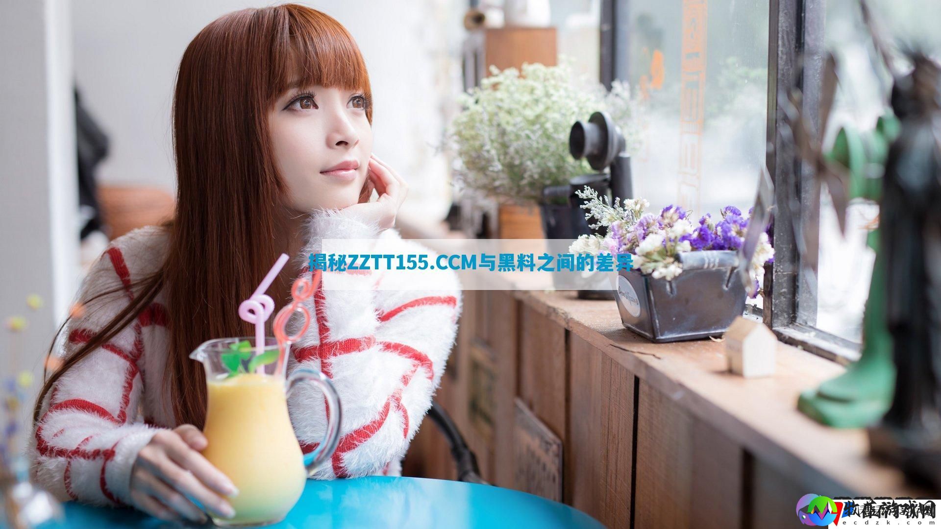 揭秘ZZTT155.CCM与黑料之间的差异