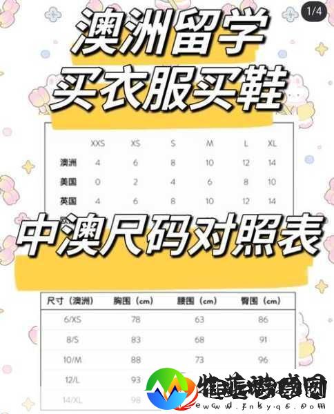 欧洲尺码日本尺码