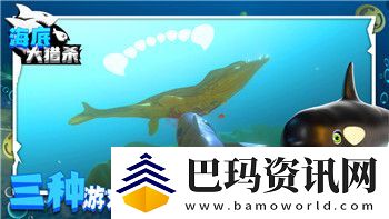 柯娜精神之桥招架键的奇妙设计与游戏玩法体验