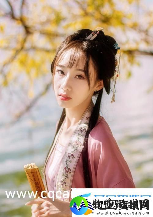 混乱小镇售票员用B检票系统