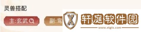 寻道大千纯暴流阵容怎么玩