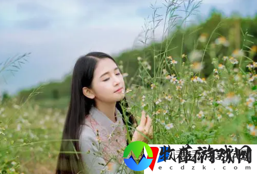 YY网页直播