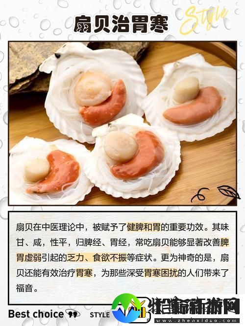宝贝你的扇贝开了让我们一起探索海洋的美丽