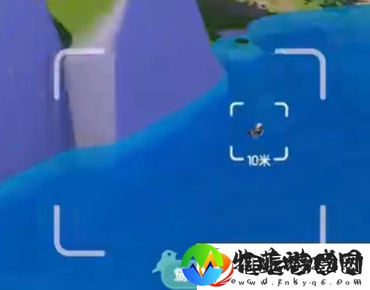 心动小镇新春季第3周4只鸟位置