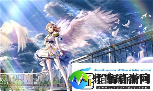 欧洲尺码日本尺码专线不卡顿无缝对接