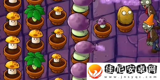 植物大战僵尸抽卡版冒险模式6