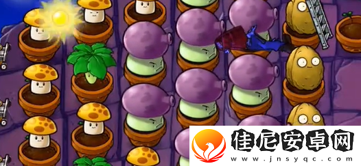植物大战僵尸抽卡版冒险模式6