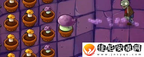 植物大战僵尸抽卡版冒险模式6