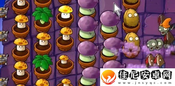 植物大战僵尸抽卡版冒险模式6