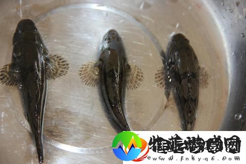 重温“妈**朋友中字巴巴鱼汤饭”
