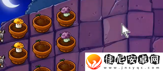 植物大战僵尸抽卡版冒险模式6