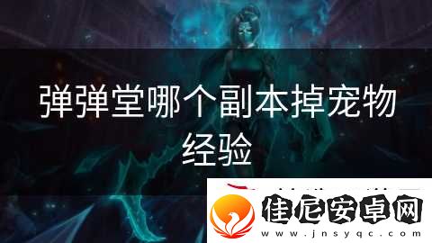 弹弹堂哪个副本掉宠物经验