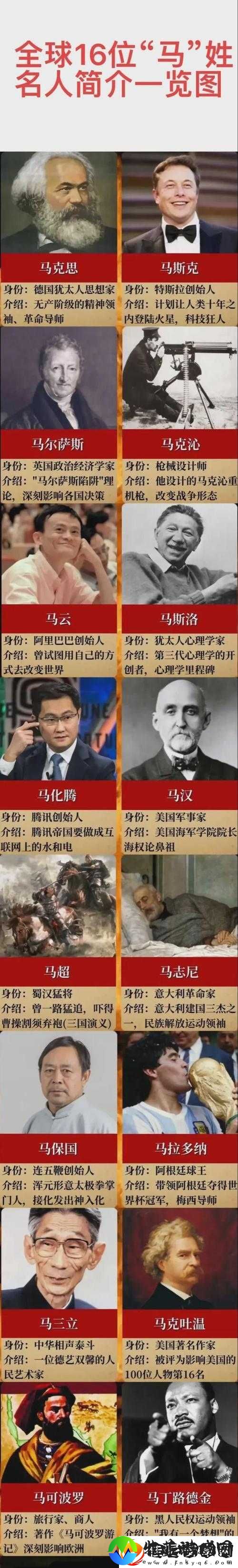 人马畜禽