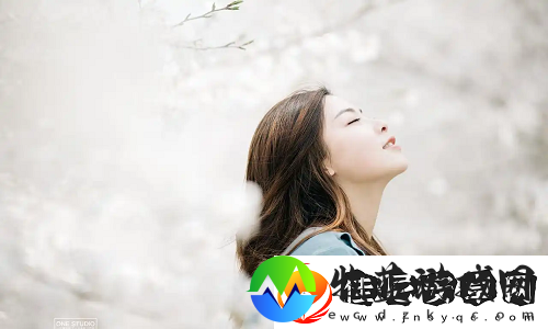 成品网站1.1.719更新解读