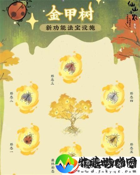 仙山小农功能法宝金甲树详细解析