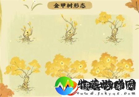 仙山小农功能法宝金甲树详细解析