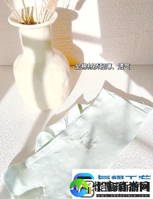 探索时尚与舒适的结合——蜜桃91精品㊙️入口内裤