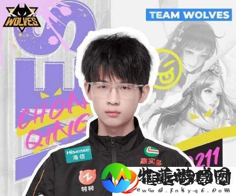 今天是狼队紫幻登场KPL三周年