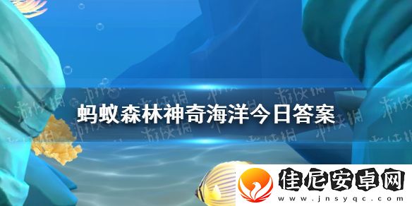 以下哪种海洋动物是恒温动物