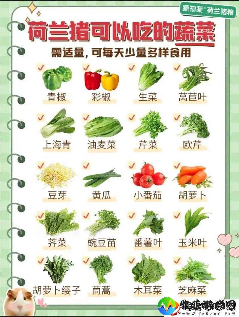 荷兰人最忌讳什么