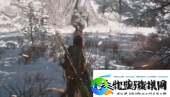 黑神话悟空不能介绍