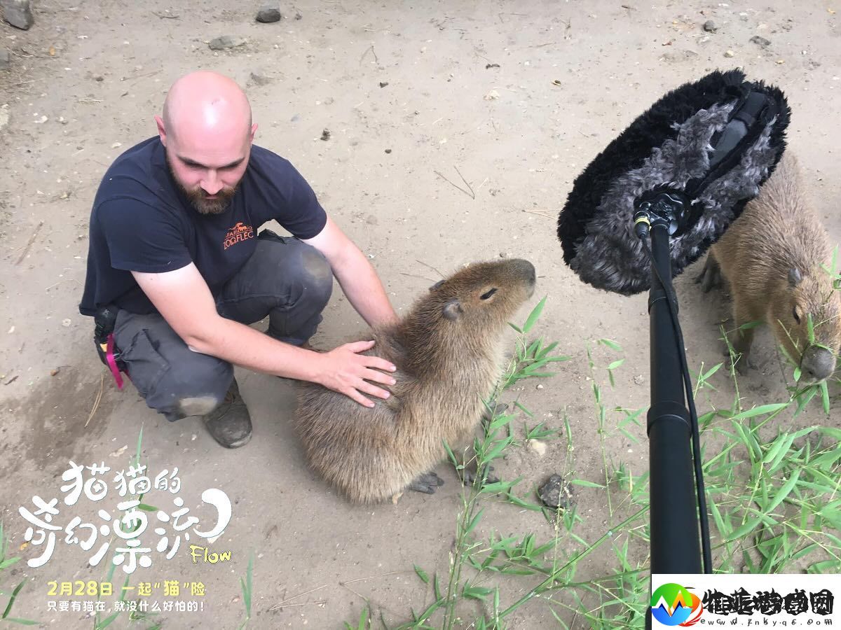 动画电影猫猫的奇幻漂流发布“再靠近一点点”幕后特辑
