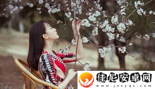嫰BBB槡BBBB槡BBBB的全景分析