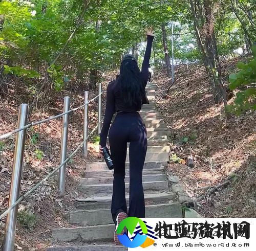 免费高清在线观看人数在哪真正火爆：探索数字化时代的观影新趋势与用户行为分析