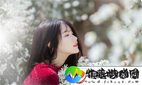 欧洲尺码日本尺码专线发布