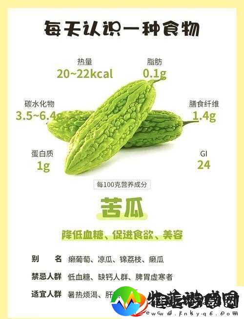 探索苦瓜影视