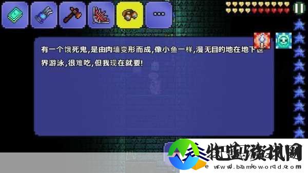 泰拉瑞亚给渔夫做任务能领到什么