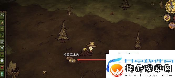 饥荒活木怎么获得