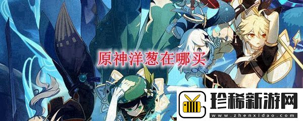 原神洋葱在哪买