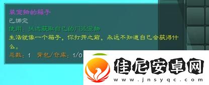 剑3门内宠物遭盗窃任务后续怎么做