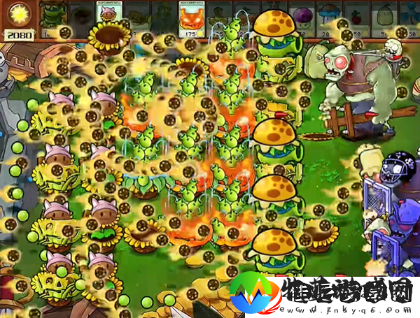 植物大战僵尸杂交版汉堡王3怎么过