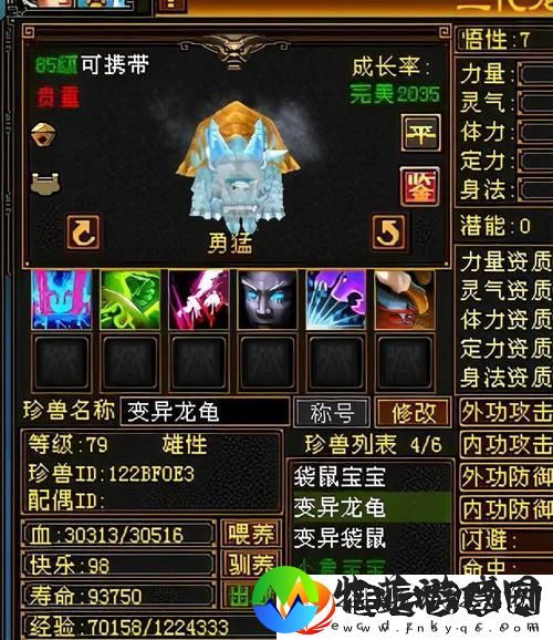 天龙八部宠物繁殖什么时候取极品