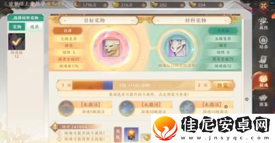天龙八部宠物繁殖什么时候取极品